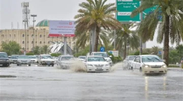 طقس مصر اليوم يشهد تقلبات مفاجئة بأمطار غزيرة ورياح قوية تضرب المحافظات 1